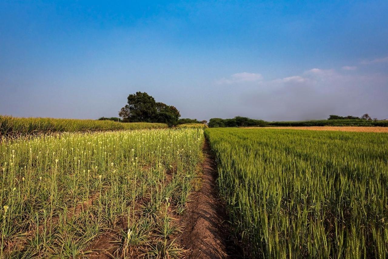 Saffronstays Happy Fields, Pune - Luxury Farmstay With Farm To Table Food Exterior photo
